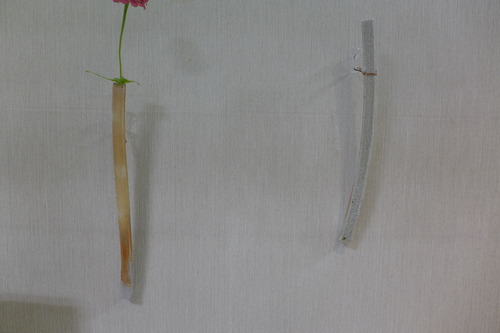 P1240234