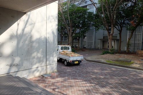 DSCF6081