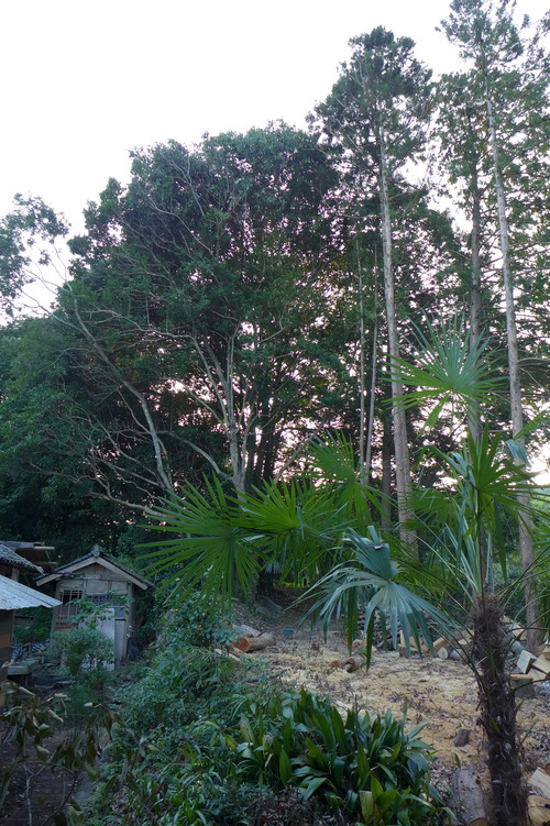 P1170155