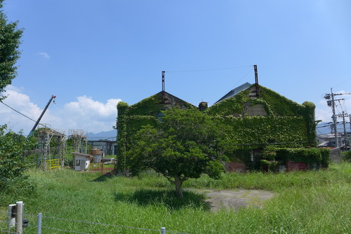 P1070634