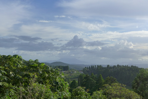 P1160153