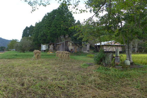 P1190236