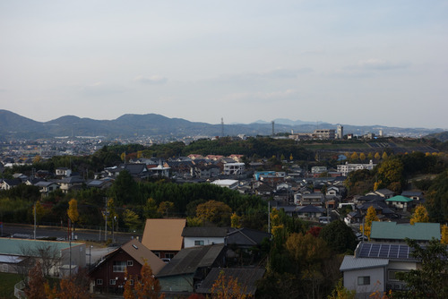 DSC00704
