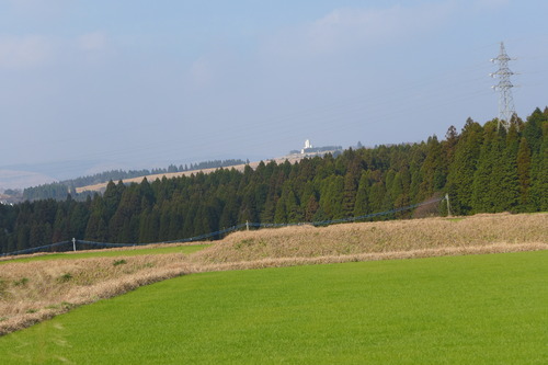 P1550258