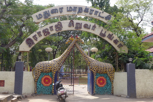 P1450799