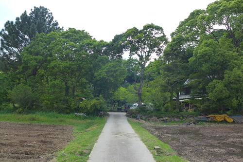 P1120885