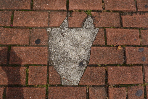P1160138