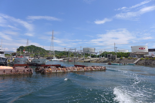 P1560695