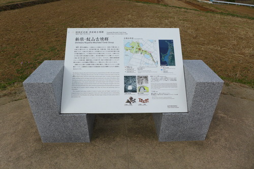 P1130046