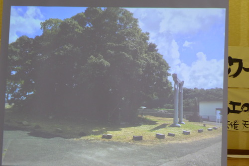 P1120981 のコピー