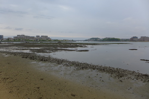 P1050077