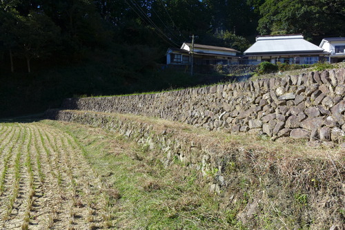P1260142
