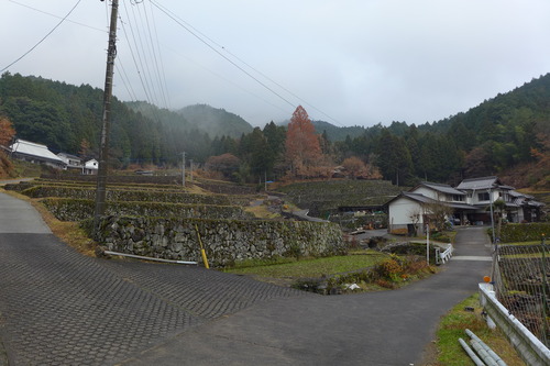 P1520547