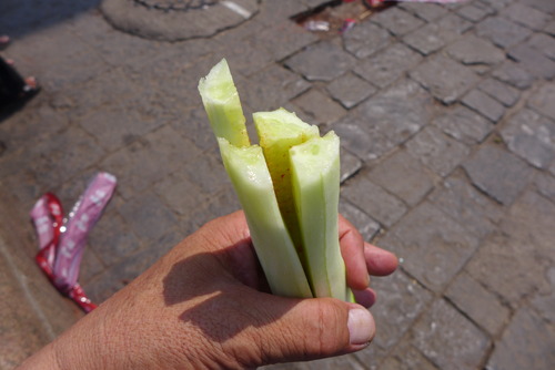 P1490363