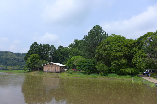 P1110434