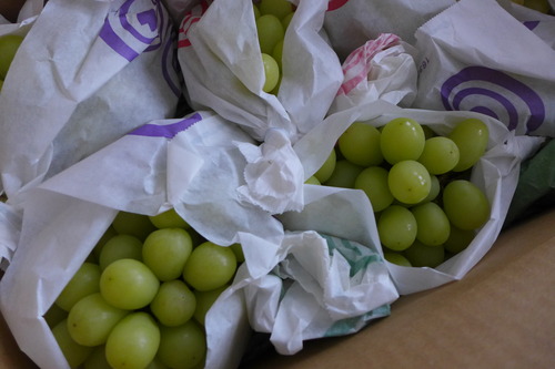 嗚呼たわわ！！1980年代市民参加黎明期のまちあるき仲間、竹内かをるさん主宰竹内胡桃農園（長野県東御市）のシャインマスカット届く！素晴らしく超美味しいいいいいい！！