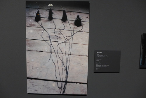 P1020412