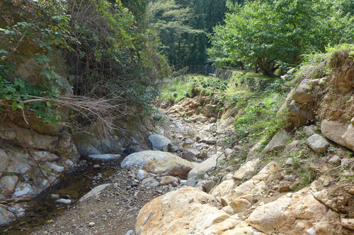 P1250753