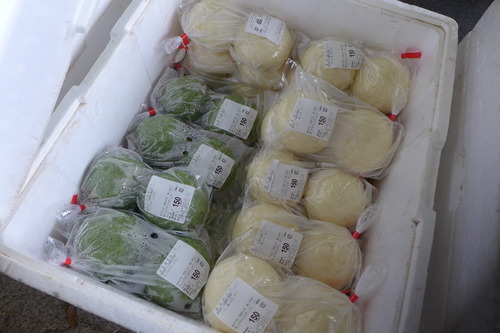 P1400084