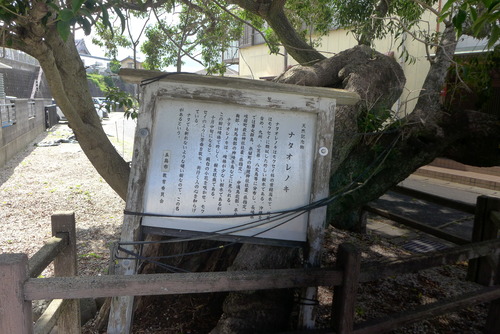 P1320498