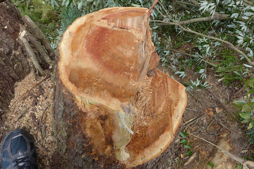 P1080251
