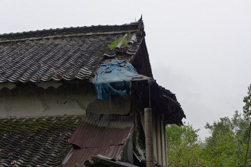 P1160044