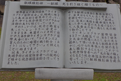 P1080982