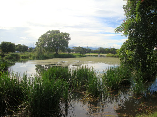 DSC09970