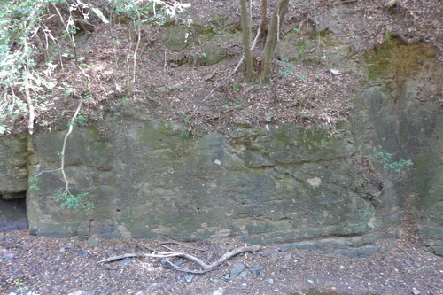 P1500402