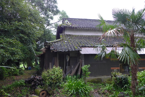 P1160047