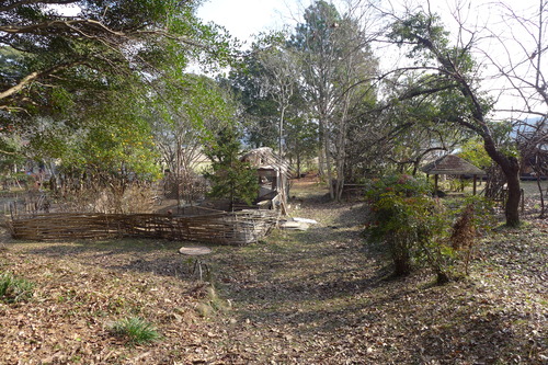 P1060351