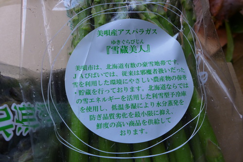 P1100294