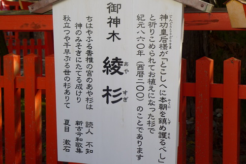 P1070433