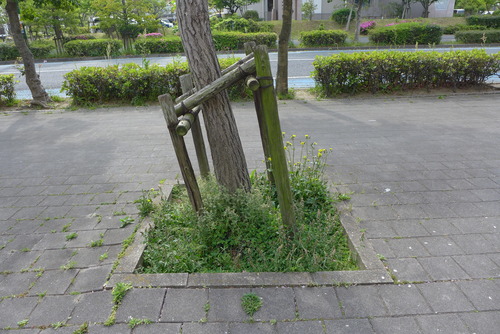 P1040998
