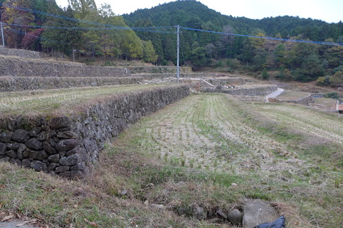 P1280890