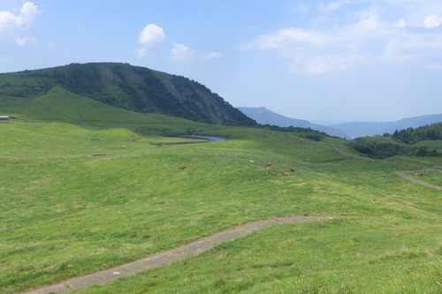 P1200938