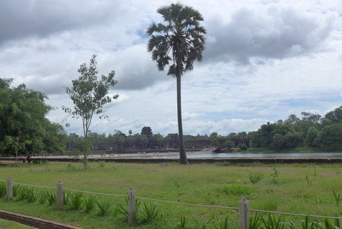 P1090534