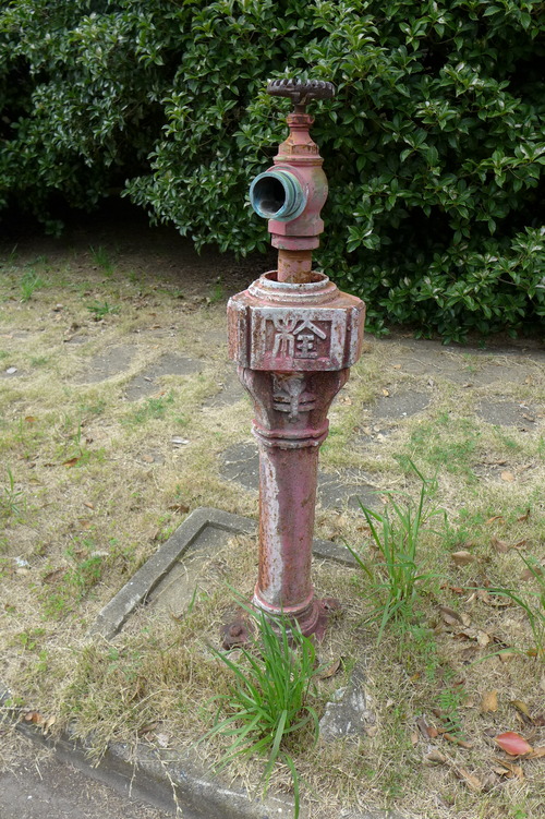 P1160891