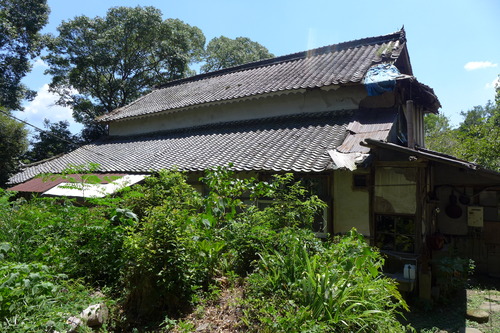 P1200617