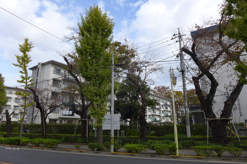 P1050203