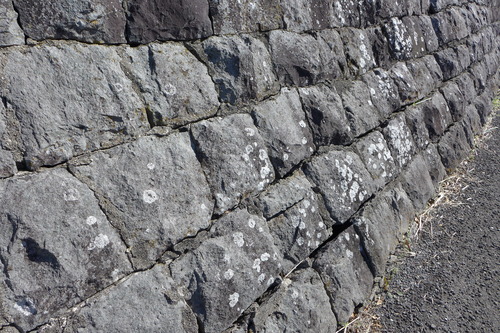 P1240263