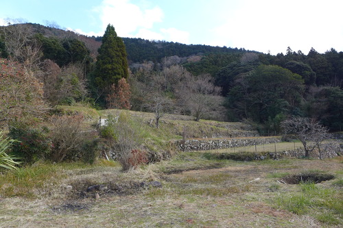 P1040365