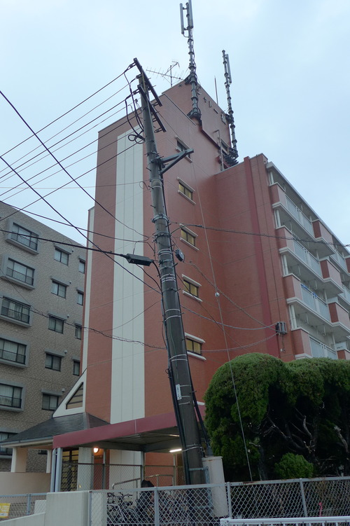 P1070384