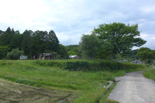 P1120890