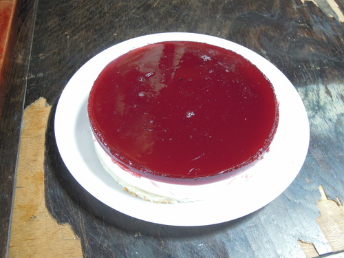 DSCN2393