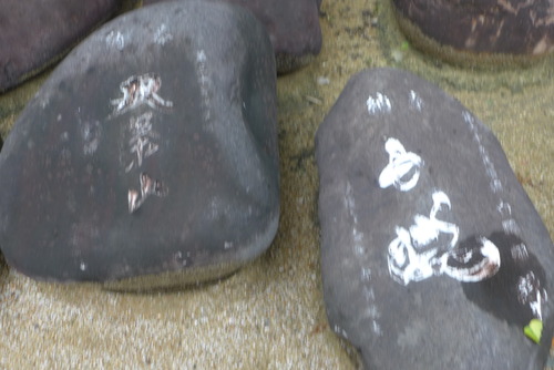 P1070377