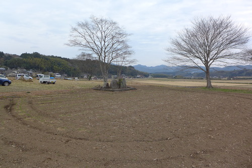 P1040223