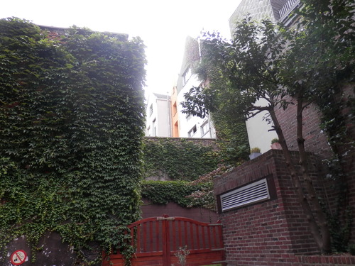 P9101322
