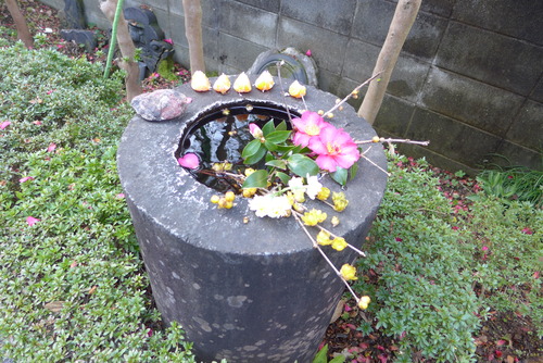 春を迎えて店じまい、けれども、ふ印ラボは東奔西走！！詳細は第76回 ふ印ラボ遠隔ゼミにて！！