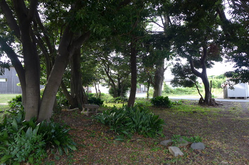 P1110037